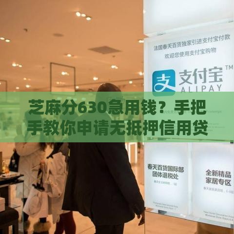 芝麻分630急用钱？手把手教你申请无抵押信用贷款