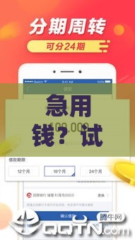 急用钱？试试这些靠谱的大额贷款口子，轻松解决资金难题！