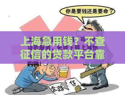 上海急用钱？不查征信的贷款平台靠谱吗？避坑指南来啦！