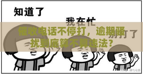 催收电话不停打，逾期骚扰到底算不算违法？