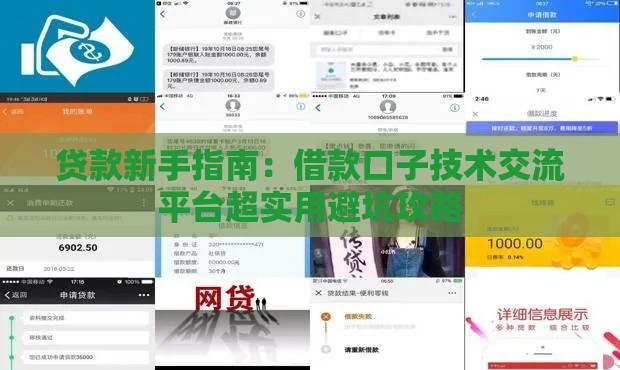 贷款新手指南：借款口子技术交流平台超实用避坑攻略