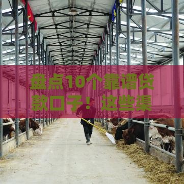 盘点10个靠谱贷款口子！这些渠道你可能还不知道