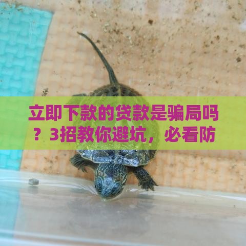 立即下款的贷款是骗局吗？3招教你避坑，必看防骗指南！