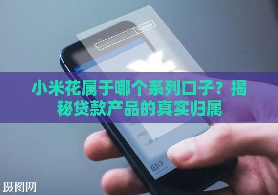 小米花属于哪个系列口子？揭秘贷款产品的真实归属