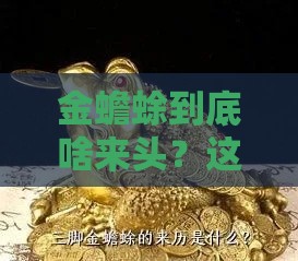 金蟾蜍到底啥来头？这系列口子靠谱吗？揭秘真相！