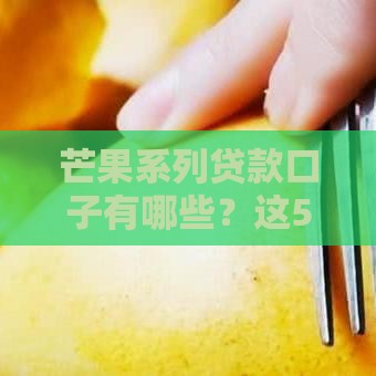 芒果系列贷款口子有哪些？这5个靠谱推荐别错过！