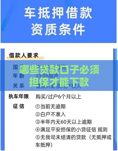 哪些贷款口子必须担保才能下款