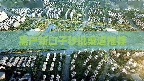 黑户新口子秒批渠道推荐