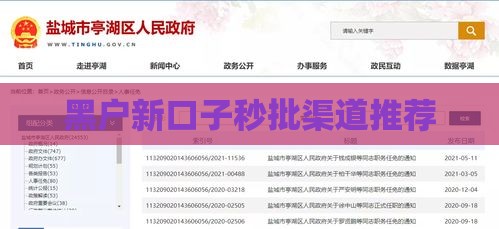 黑户新口子秒批渠道推荐