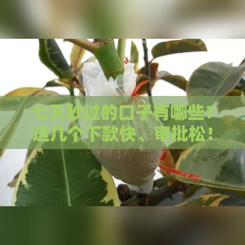 七天秒过的口子有哪些？这几个下款快、审批松！