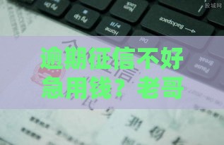 逾期征信不好急用钱？老哥实测3个低门槛借款渠道