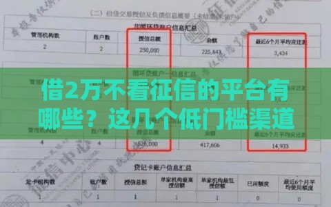 借2万不看征信的平台有哪些？这几个低门槛渠道能救急