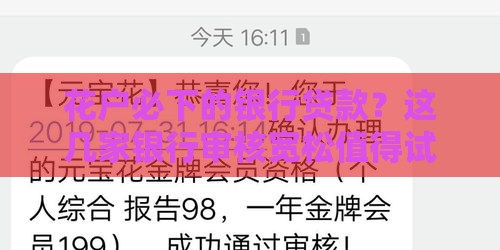花户必下的银行贷款？这几家银行审核宽松值得试