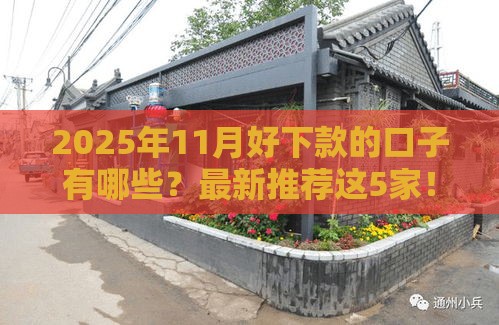 2025年11月好下款的口子有哪些？最新推荐这5家！