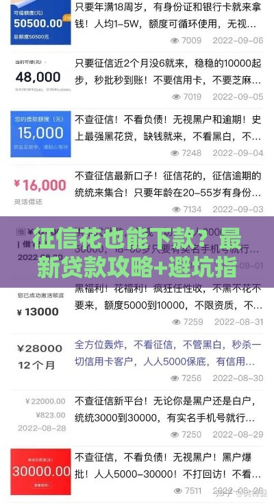 征信花也能下款？最新贷款攻略+避坑指南，手把手教你选对平台！