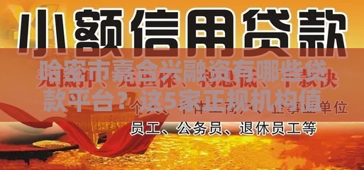 哈密市嘉合兴融资有哪些贷款平台？这5家正规机构值得选！