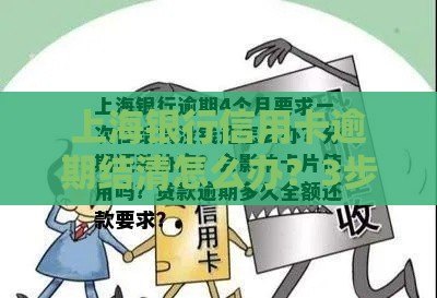 上海银行信用卡逾期结清怎么办？3步教你快速解决攻略