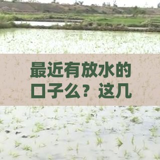 最近有放水的口子么？这几种方案或许能解燃眉之急