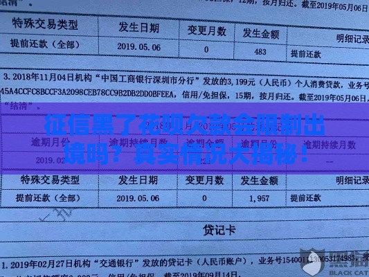 征信黑了花呗欠款会限制出境吗？真实情况大揭秘！