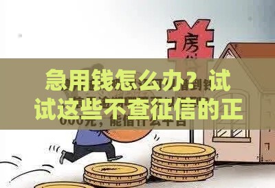 急用钱怎么办？试试这些不查征信的正规平台，轻松借3000元！