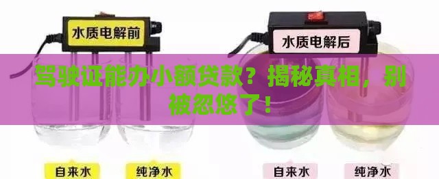 驾驶证能办小额贷款？揭秘真相，别被忽悠了！