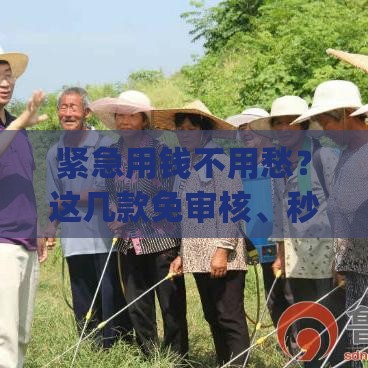 紧急用钱不用愁？这几款免审核、秒到账的贷款App帮你解燃眉之急！