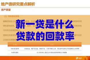 新一贷是什么贷款的回款率？3个重点解析它的靠谱程度