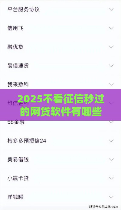 2025不看征信秒过的网贷软件有哪些？这10个下款快好通过