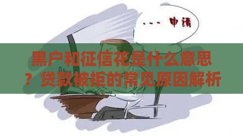 黑户和征信花是什么意思？贷款被拒的常见原因解析