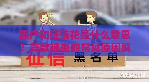 黑户和征信花是什么意思？贷款被拒的常见原因解析