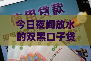 今日夜间放水的双黑口子贷款攻略，低门槛也能申请