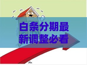 白条分期最新调整必看！手把手教你应对信贷政策变化