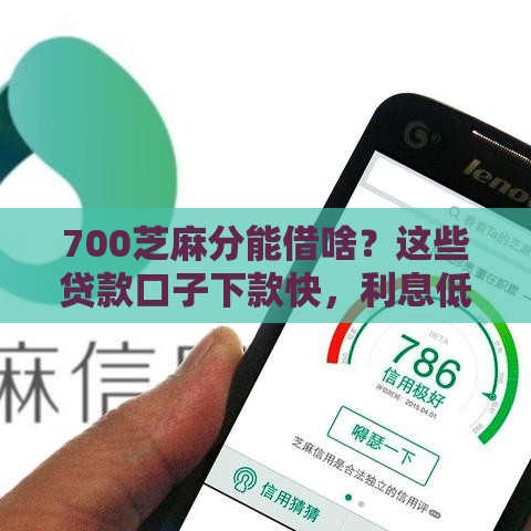 700芝麻分能借啥？这些贷款口子下款快，利息低！