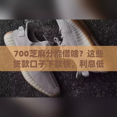 700芝麻分能借啥？这些贷款口子下款快，利息低！