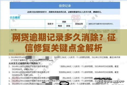 网贷逾期记录多久消除？征信修复关键点全解析