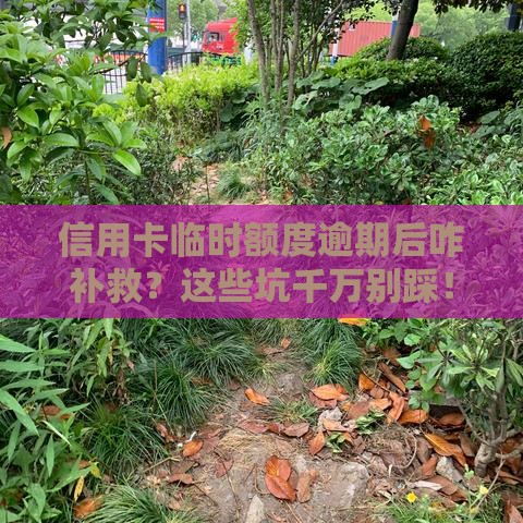 信用卡临时额度逾期后咋补救？这些坑千万别踩！