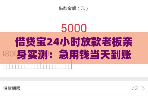 借贷宝24小时放款老板亲身实测：急用钱当天到账攻略
