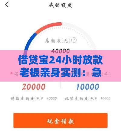 借贷宝24小时放款老板亲身实测：急用钱当天到账攻略