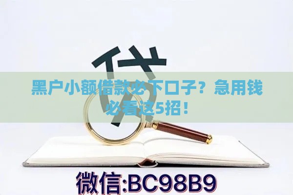 黑户小额借款必下口子？急用钱必看这5招！
