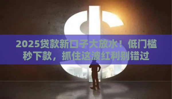 2025贷款新口子大放水！低门槛秒下款，抓住这波红利别错过