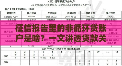 征信报告里的非循环贷账户是啥？一文讲透贷款关键知识点！