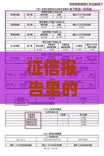 征信报告里的非循环贷账户是啥？一文讲透贷款关键知识点！