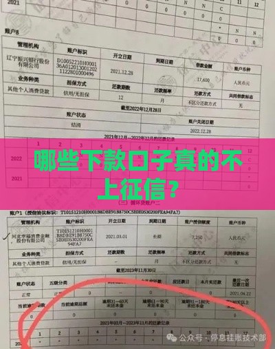 哪些下款口子真的不上征信？