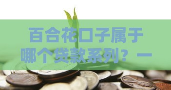 百合花口子属于哪个贷款系列？一文搞懂借款门道