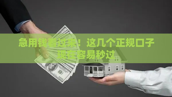 急用钱看过来！这几个正规口子现在容易秒过