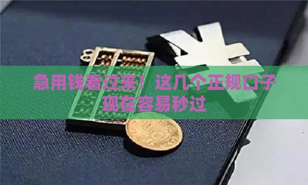急用钱看过来！这几个正规口子现在容易秒过