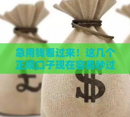 急用钱看过来！这几个正规口子现在容易秒过