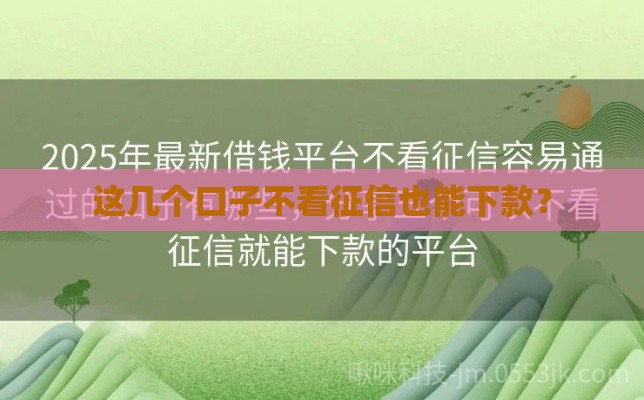 这几个口子不看征信也能下款？