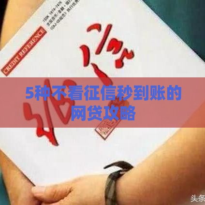 5种不看征信秒到账的网贷攻略
