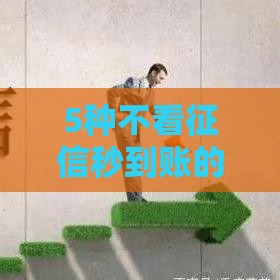 5种不看征信秒到账的网贷攻略